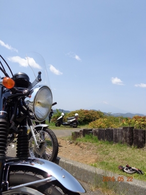 大観山5_20160522