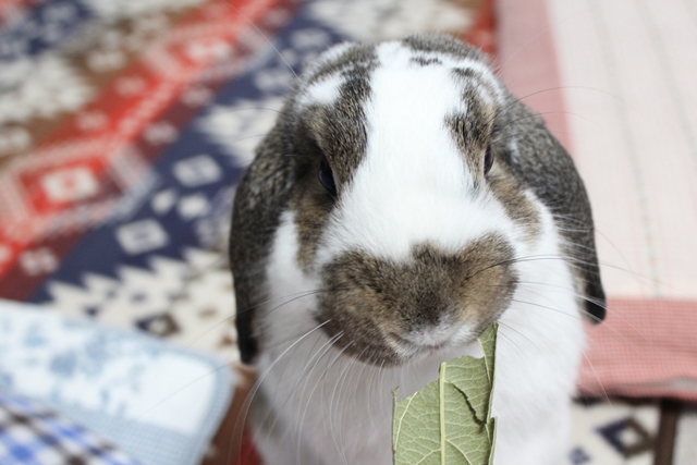 IMG_7848だいち0104