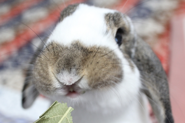 だいち0104IMG_7841
