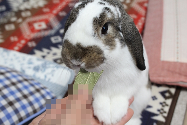 だいち0104IMG_7852