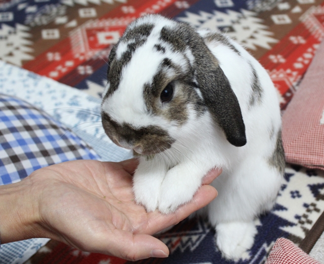 だいち0104IMG_7854