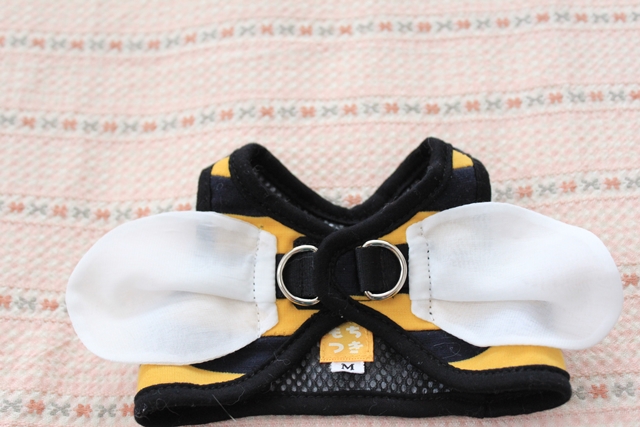 IMG_8098ハーネス