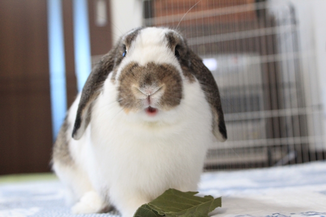 IMG_82650だいち0119