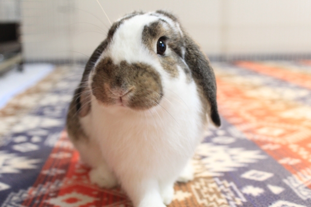 IMG_8487だいち0125