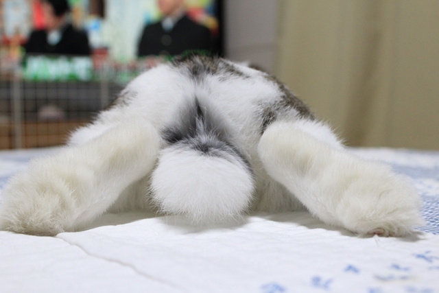 IMG_8504だいち0126