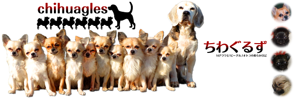 ヘッダー(2016/01)