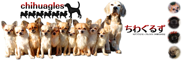 ヘッダー(2016/01')