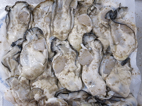 牡蠣フライレシピ5