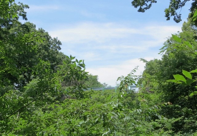 第1橋脚IMG_2034 (2) (640x443)