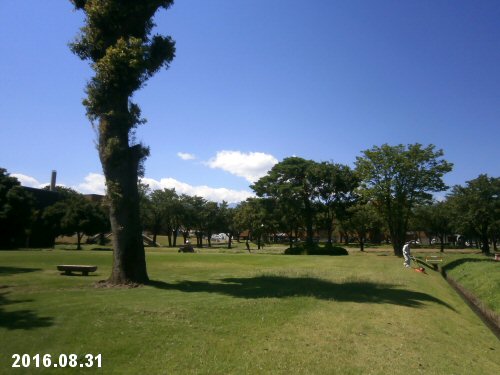 02b 500 20160831 芝生公園草刈り
