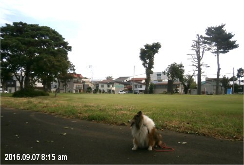 03b 500 20160907 0815 From Cherry Path Erie