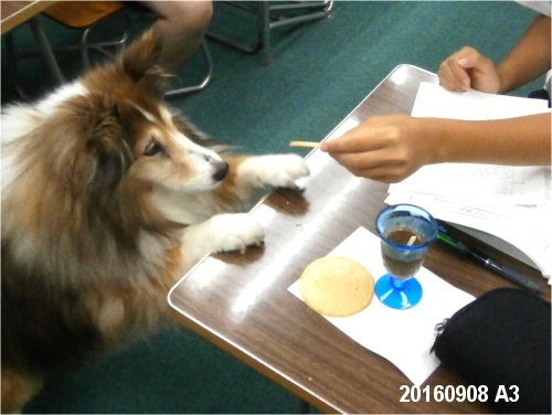 500 20160908 A3 with Erie