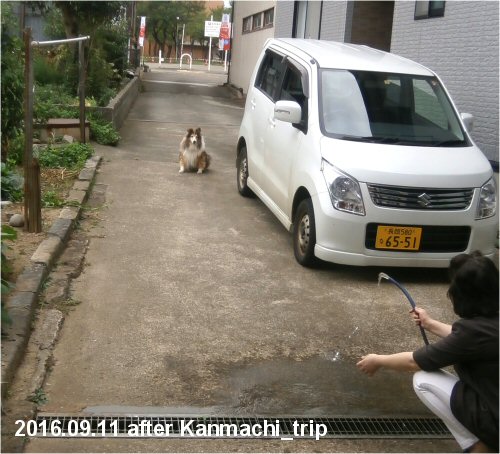 02d 500 20160911 Erie 礼子