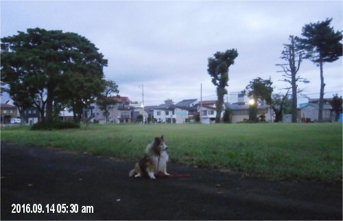 04a 500 20160914 0530 Lawn_Park Erie