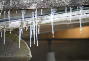 あまりにも寒いのでいったん休憩