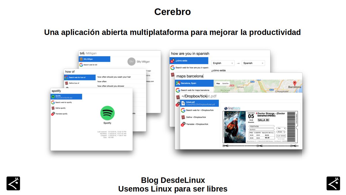 Мозок: Вступ