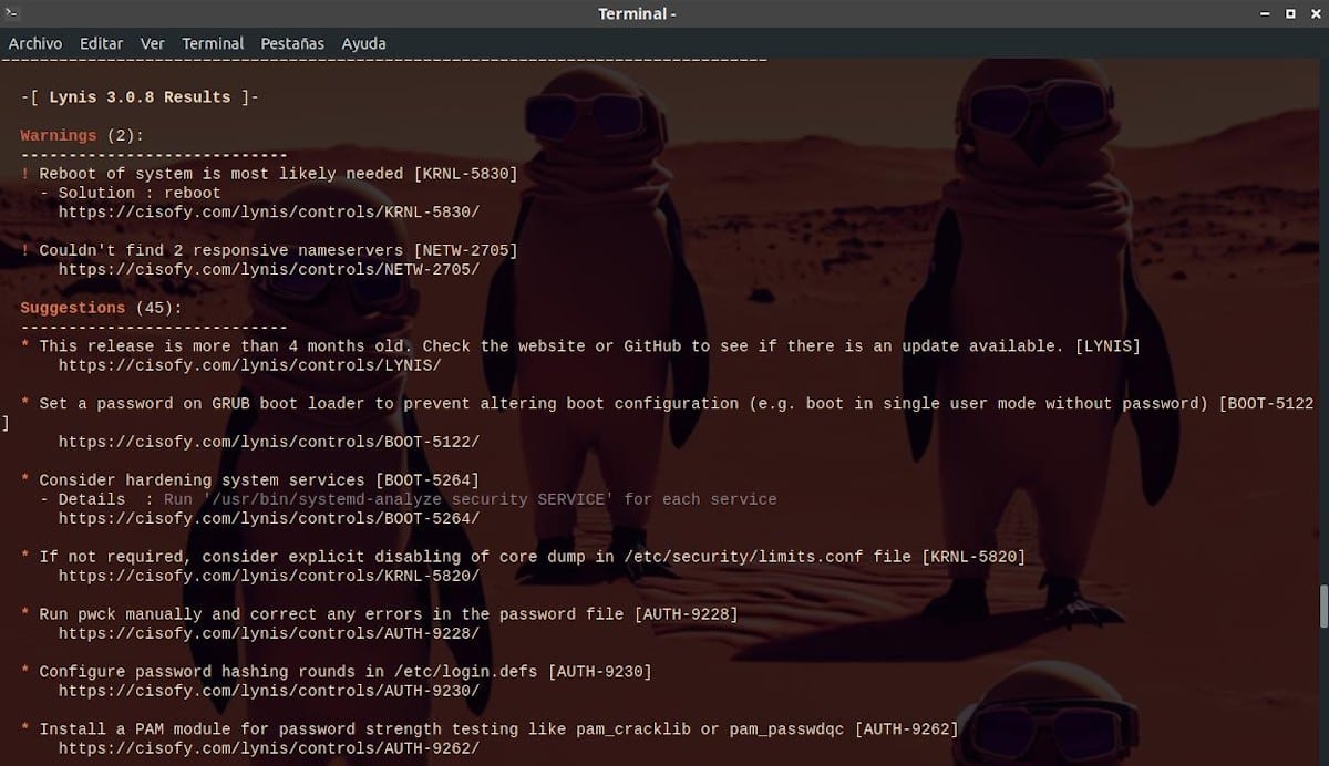 Lynis: Pamja e ekranit 24