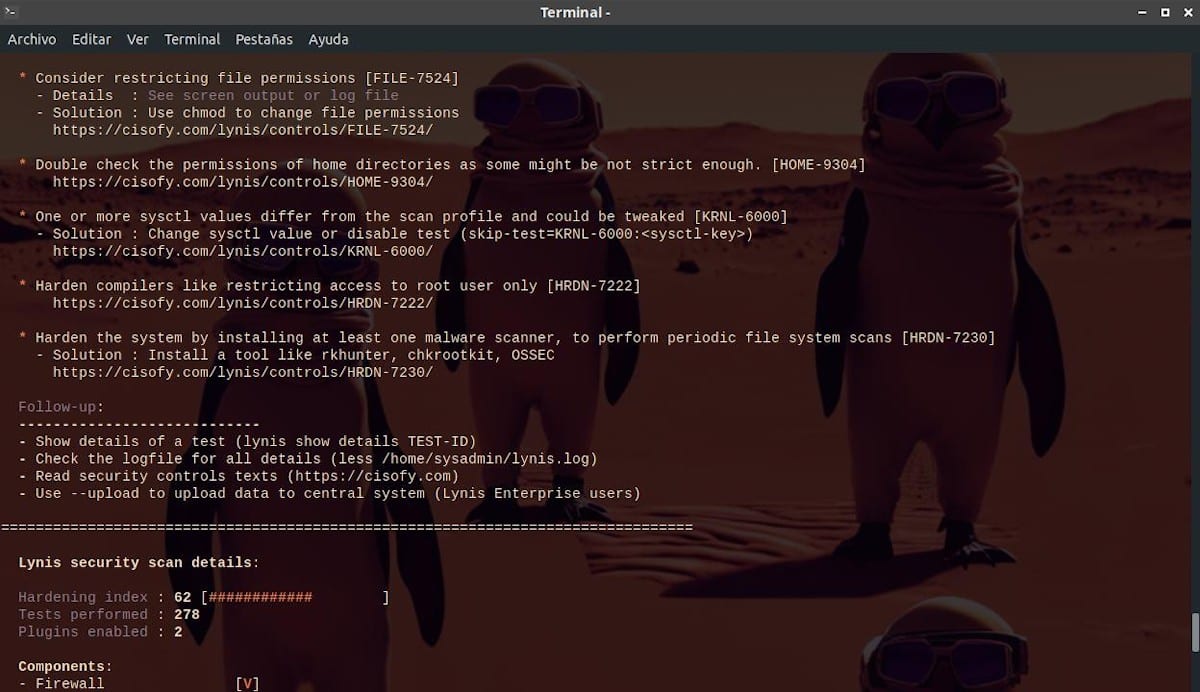 Lynis: Pamja e ekranit 28