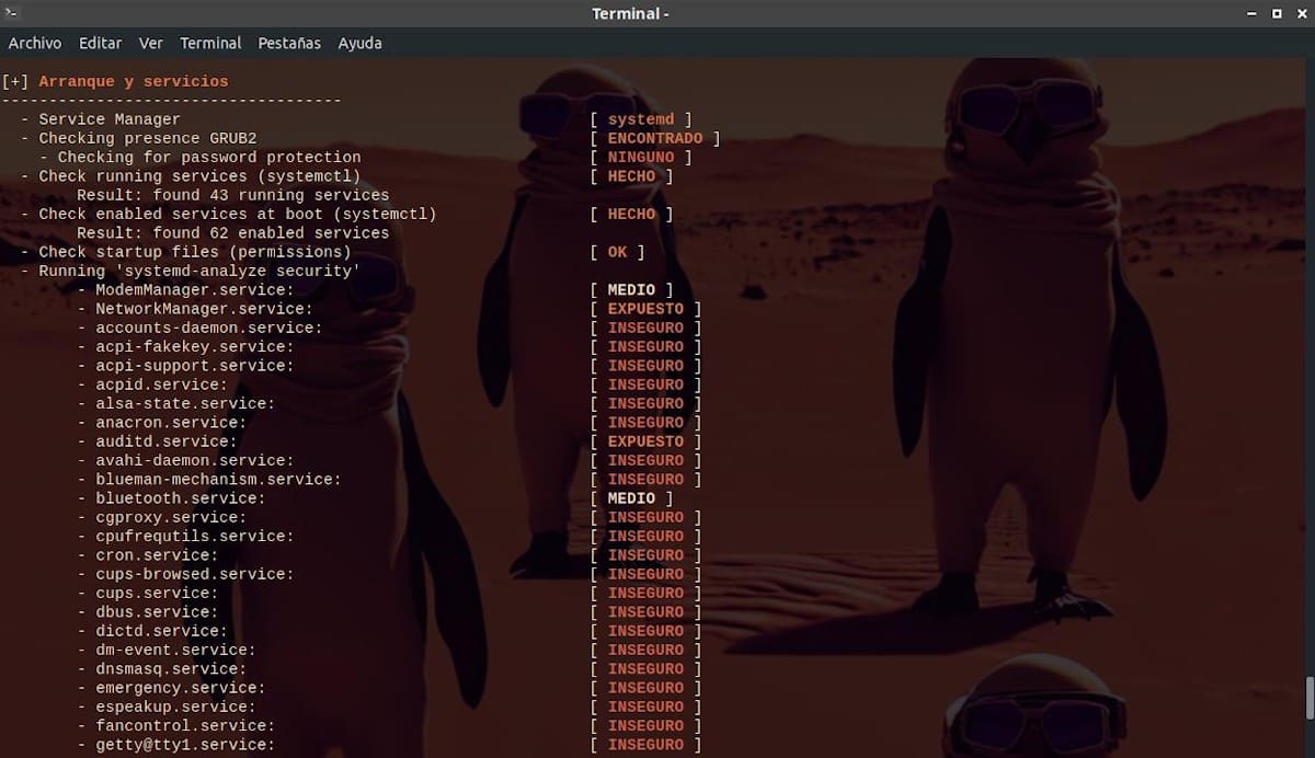 Lynis - Informacioni i nisjes - Pamja e ekranit 4
