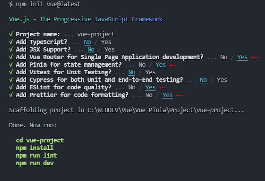 Screenshot Of Developer Terminal Showing Setup Process For New Project With Vue And Vite