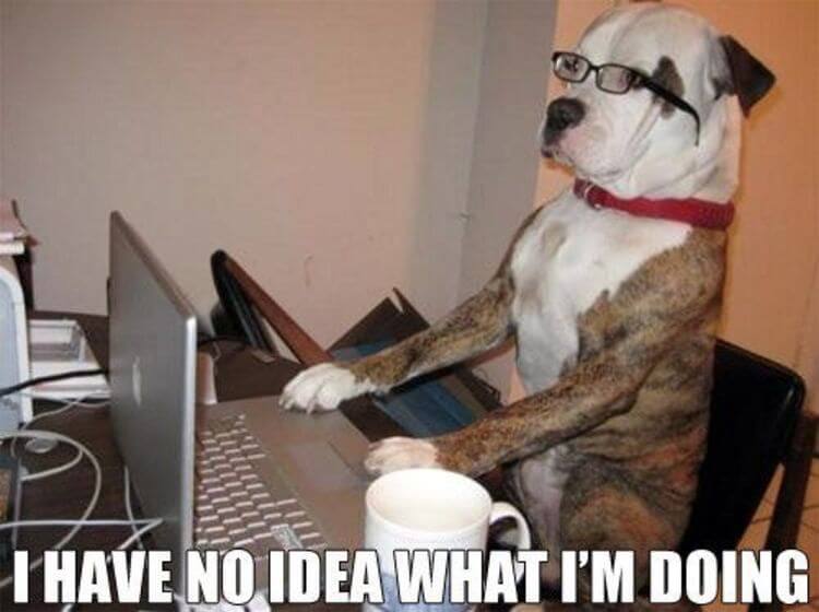 javascript-learn-free-no-idea