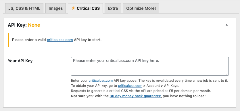 critical css on autopimize