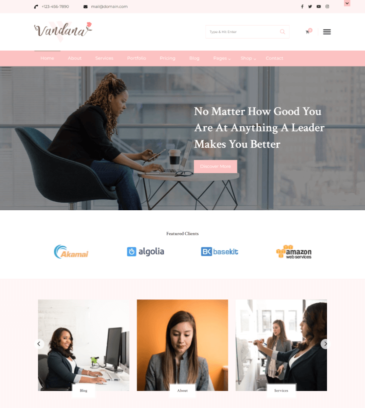 Vandana Entrepreneur template