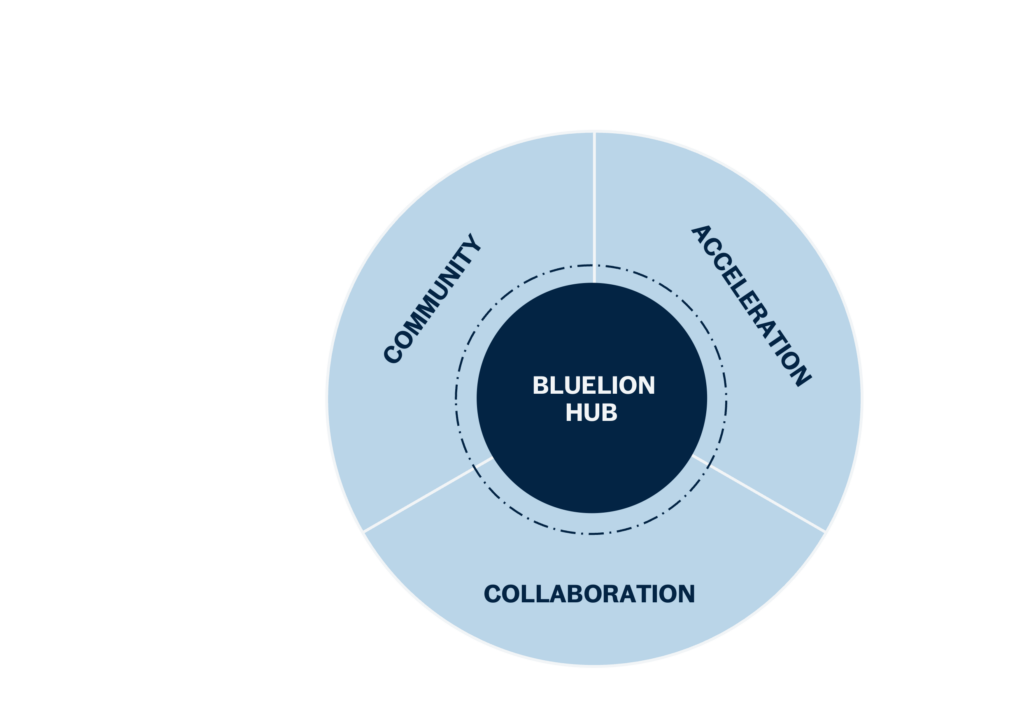 Bluelion mission