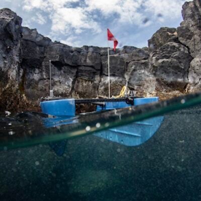 bb120-in-water-kelp bb120-in-water-kelp