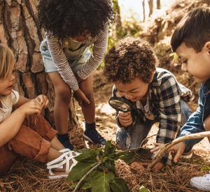 Symbolbild MINT-Bildung: Eine Gruppe Kinder forscht gemeinsam. Verlinkung zur MINT-Strategie des Landes.