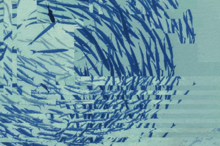 An underwater photo taken looking up to a large circular school of fish while the sun sparkles in the blue water. However, the image is slightly distorted by digital artefacts.