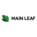 main-leaf