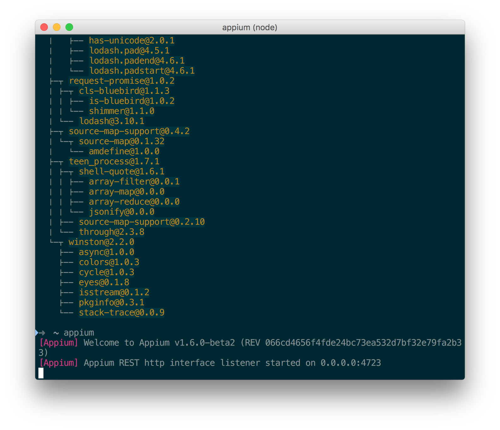 When appium server runs for iOS device When appium server runs for iOS device