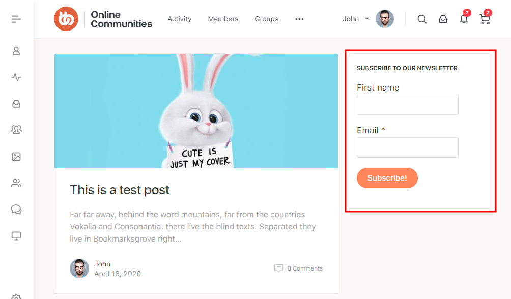 Mailpoet Form Preview | BuddyBoss MailPoet Form preview