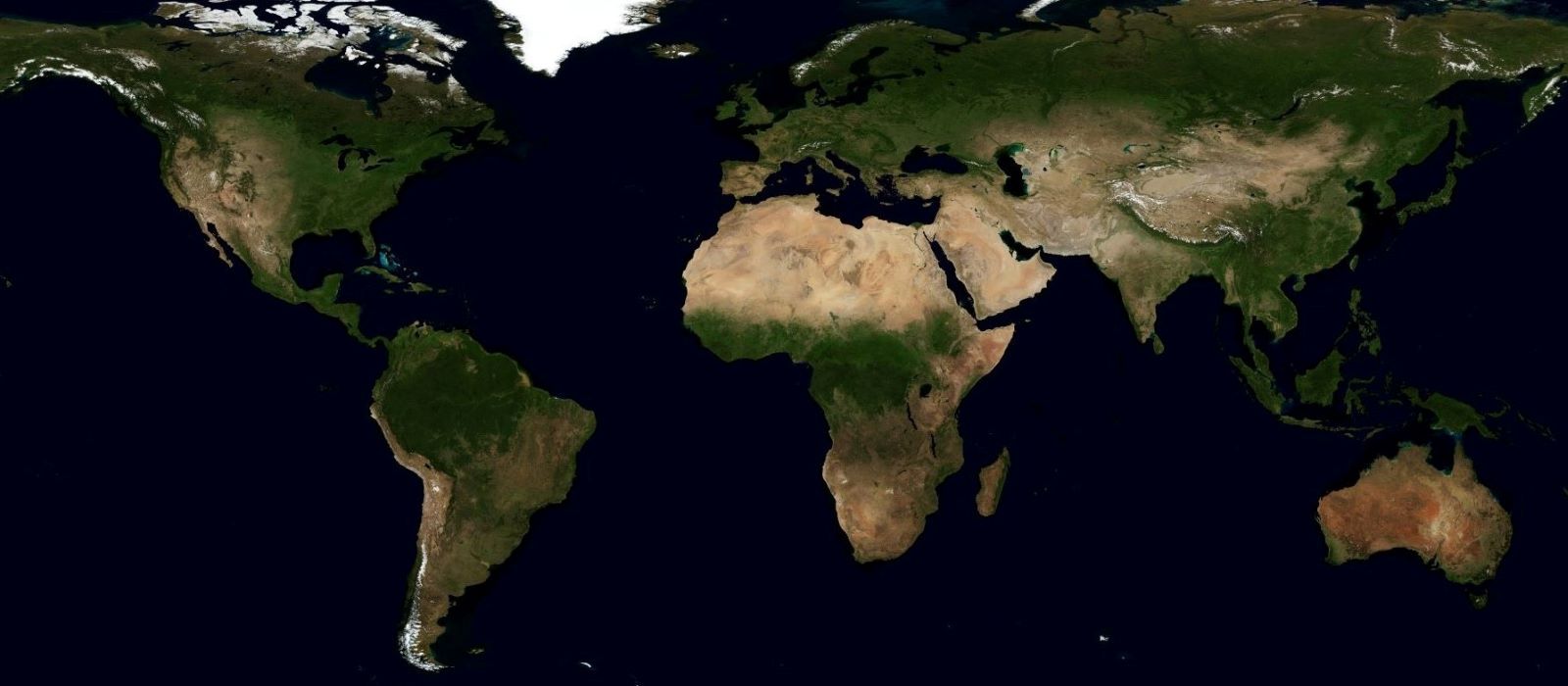 Banner image for Specializations and Streams