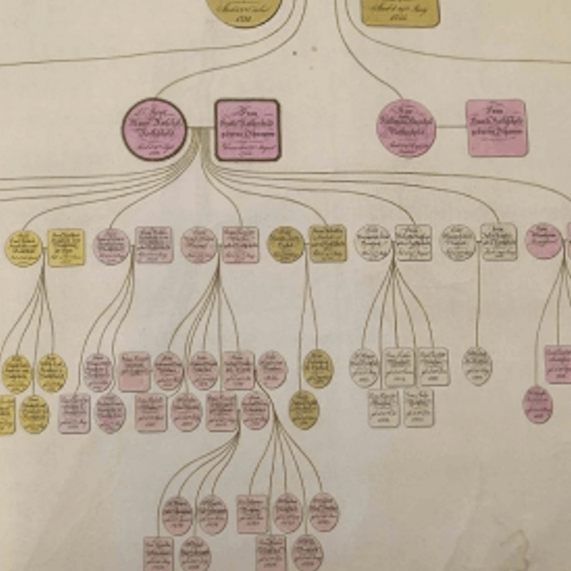 Rothschild Archive image - CBJ Digital