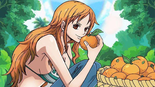 海贼王:草帽团每个人珍贵的东西,每一样都是独一无二! 综合-第3张