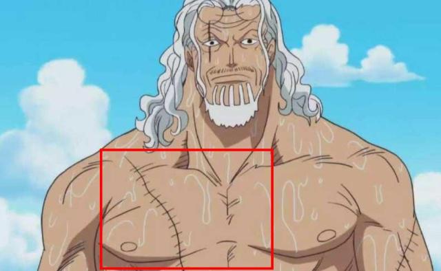 盘点海贼王胸前有疤的人物 综合-第6张
