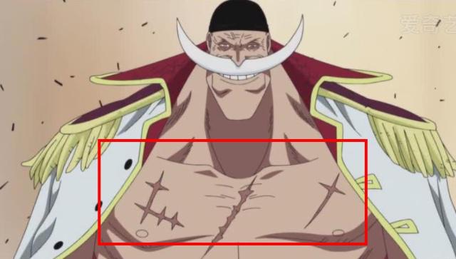 盘点海贼王胸前有疤的人物 综合-第2张