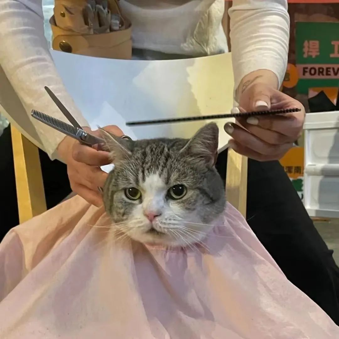 【头像】超好看的微信头像 动漫头像-第30张