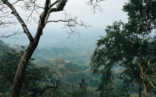 ¸ßÖл¯Ñ§Ñ§¿ÆºËÐÄËØÑøÐ¿γÌÅàѵÐĵÃÌå»á(5)