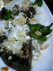 omcon2008-12-05 omcon2008-12-05