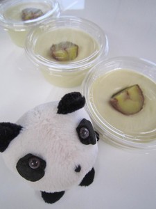 栗のムース・2017-11-29 栗のムース・2017-11-29