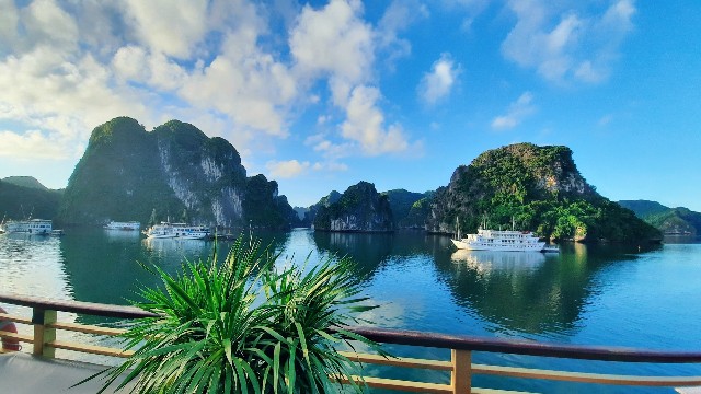 f:id:A-hanoi:20220727205630j:image f:id:A-hanoi:20220727205630j:image