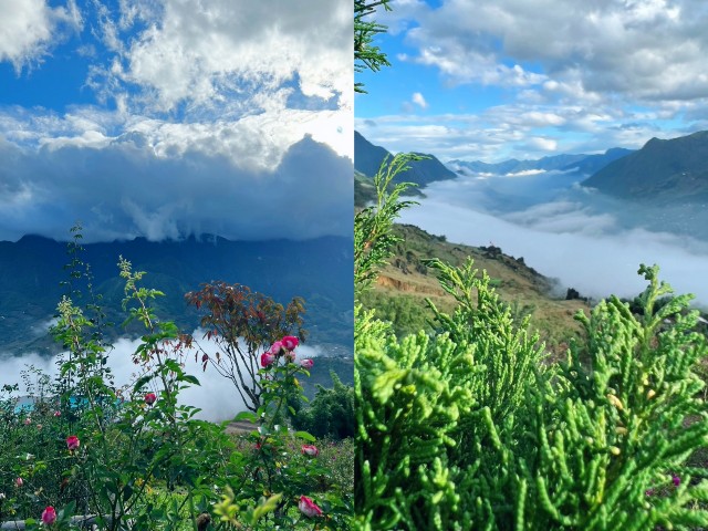 f:id:A-hanoi:20221206141405j:image f:id:A-hanoi:20221206141405j:image