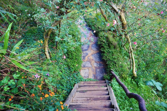 f:id:A-hanoi:20221206142634j:image f:id:A-hanoi:20221206142634j:image