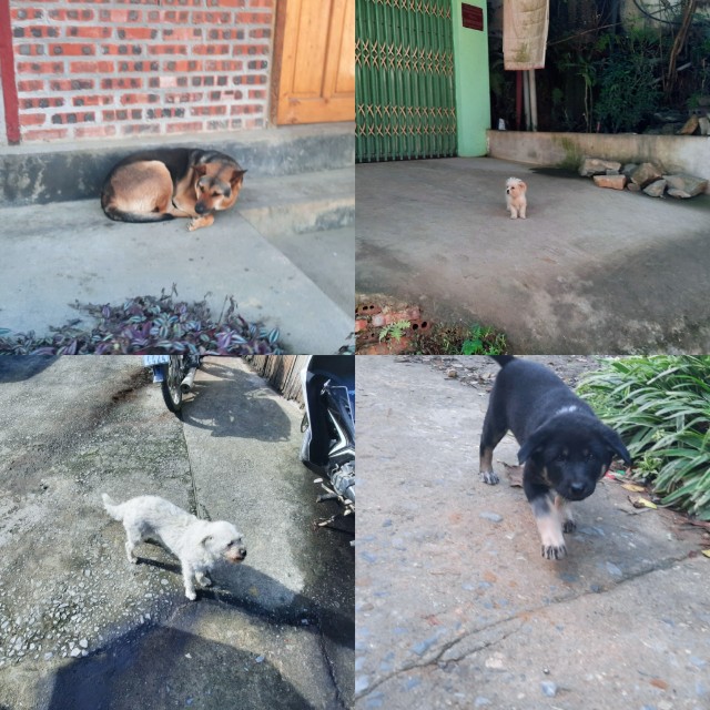 f:id:A-hanoi:20221207125509j:image f:id:A-hanoi:20221207125509j:image