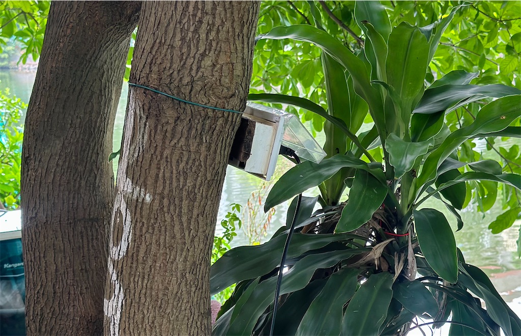 f:id:A-hanoi:20240710183255j:image f:id:A-hanoi:20240710183255j:image