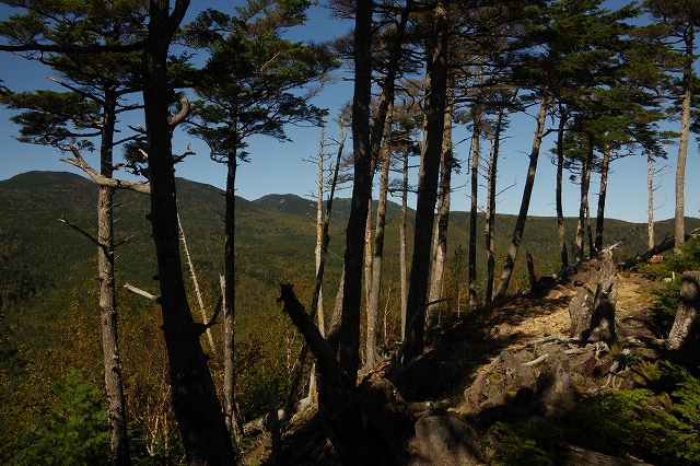 f:id:Argon:20191010231339j:plain f:id:Argon:20191010231339j:plain