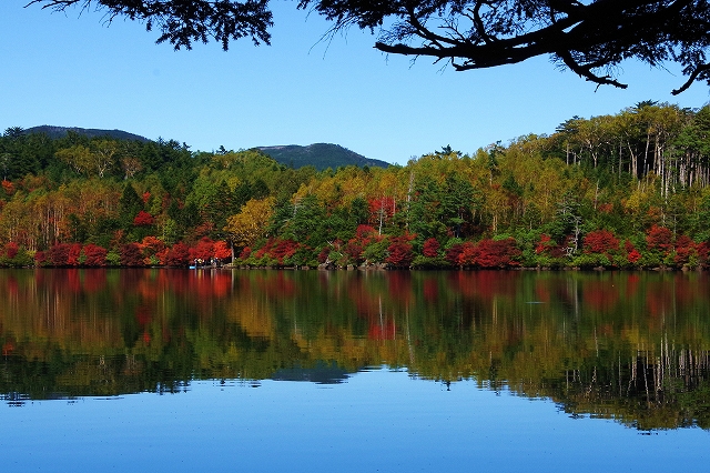 f:id:Argon:20191010231407j:plain f:id:Argon:20191010231407j:plain